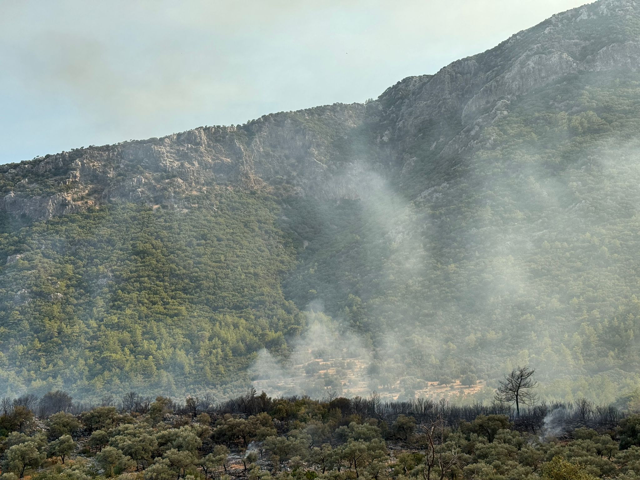 Seydikemer’deki Orman Yangını Kontrol Altına Alındı (2)
