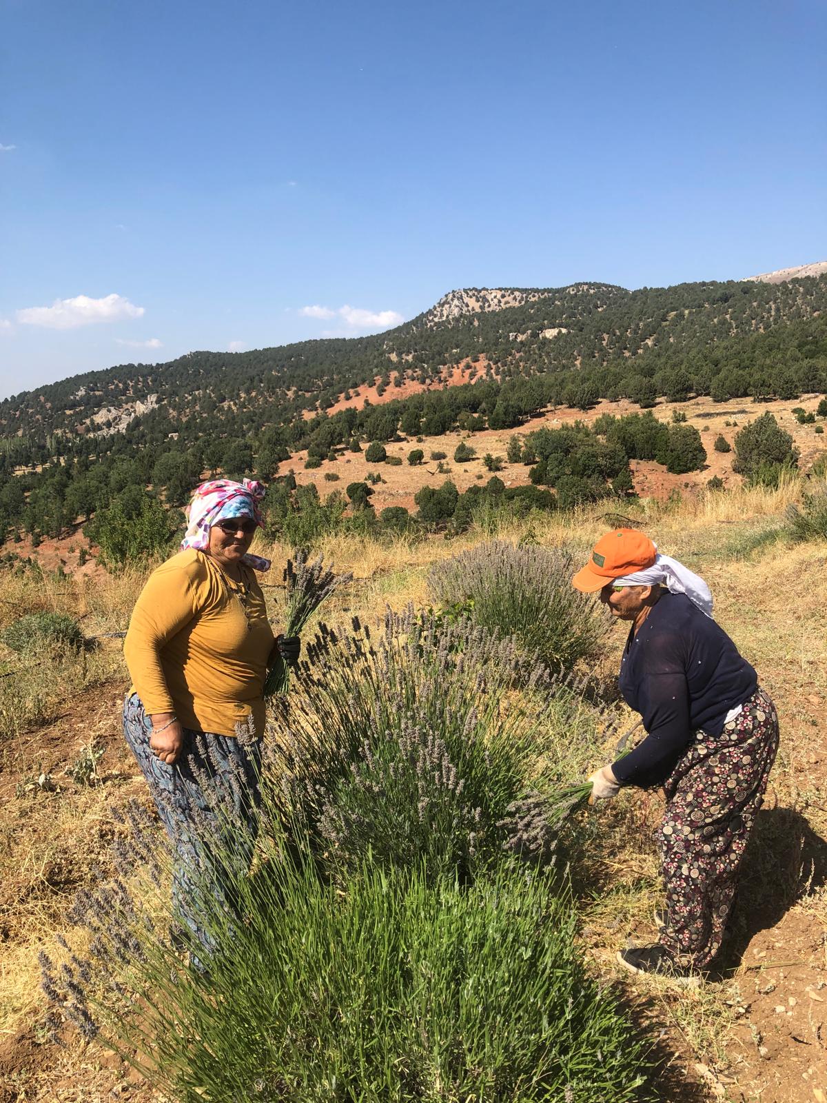 Whatsapp Image 2025 08 21 At 12.08.45