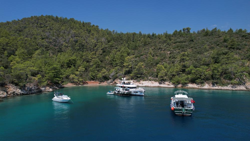 Whatsapp Image 2025 08 30 At 14.30.04 (1)