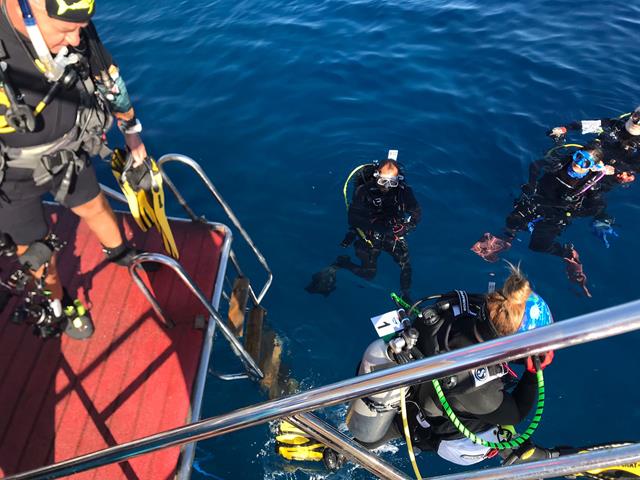 Altın Palet Sualtı Görüntüleme Türkiye Şampiyonası Fethiye'de Başladı (11) (Copy)