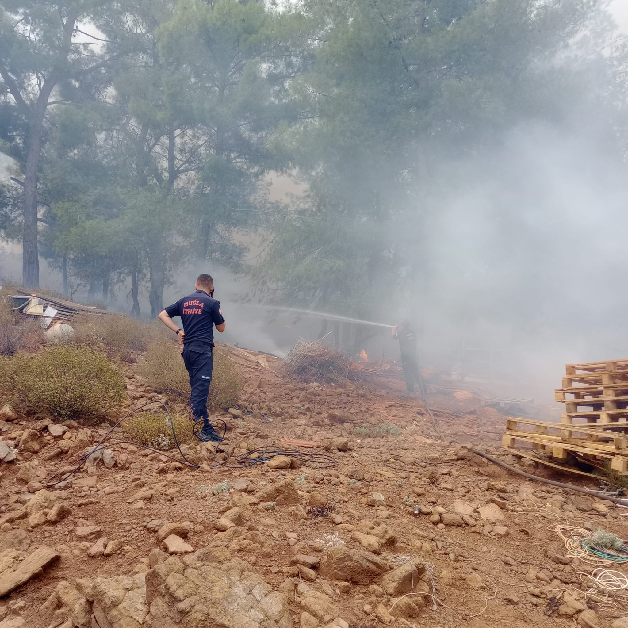 Büyükşehir İtfaiyesi Milas Ve Köyceğiz’de Alevlerle Mücadelede (3)