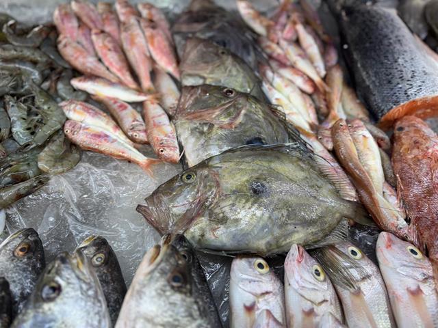 Sezon Başladı, Fethiye Balık Pazarı’nda Fiyatlarda Düşüş Yaşandı (2) (Copy)