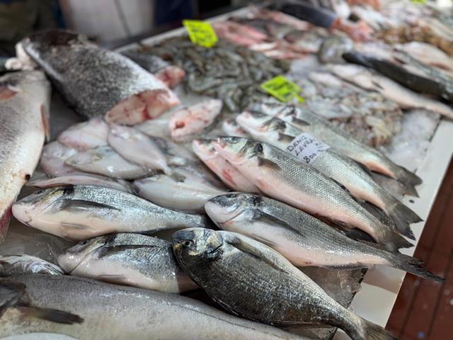 Sezon Başladı, Fethiye Balık Pazarı’nda Fiyatlarda Düşüş Yaşandı (3) (Copy)