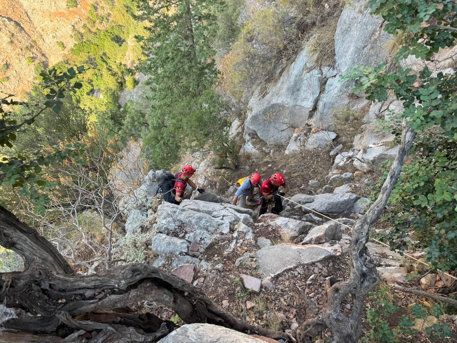 Whatsapp Image 2025 09 10 At 18.02.48 (1)