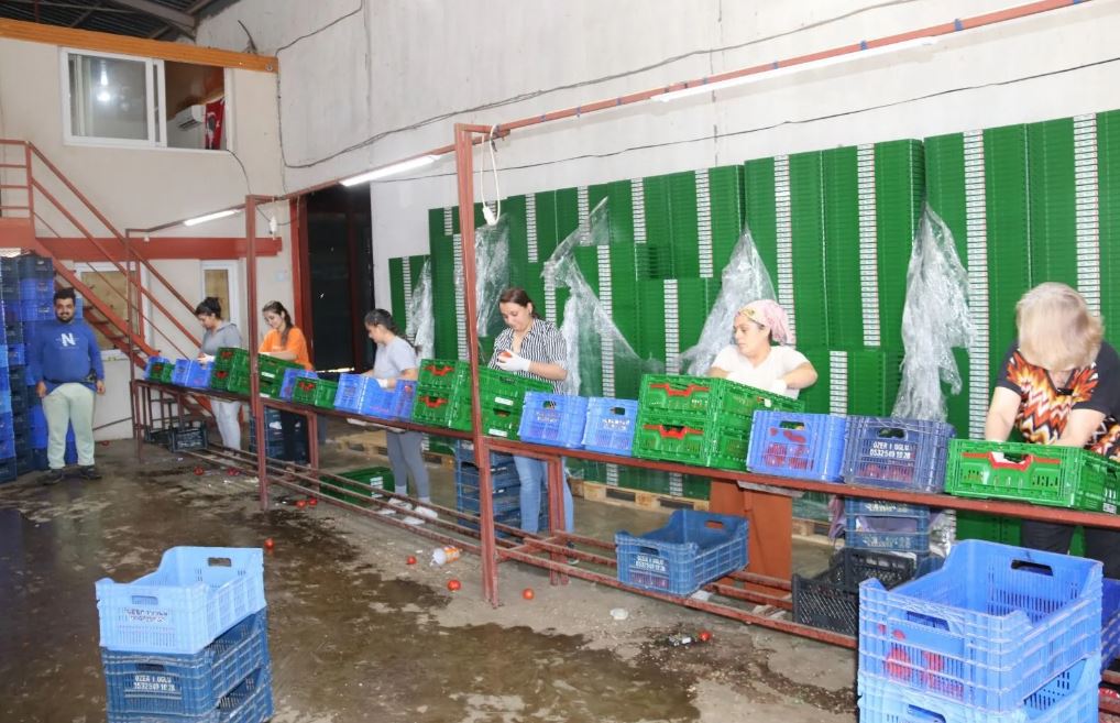 Whatsapp Image 2025 09 30 At 17.00.11 (1)