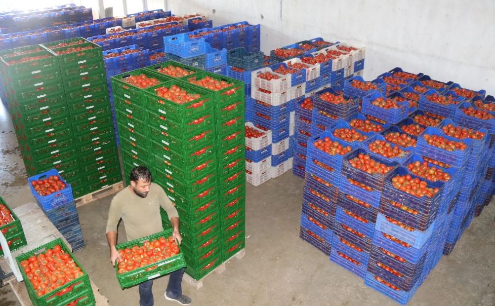 Whatsapp Image 2025 09 30 At 17.00.11