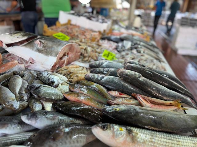 Fethiye Balık Hali’nde Kış Balıkları Tezgahları Doldurdu (1) (Copy)