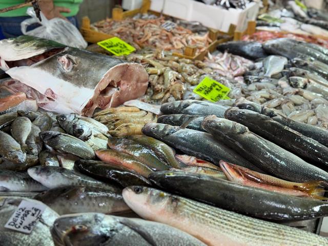 Fethiye Balık Hali’nde Kış Balıkları Tezgahları Doldurdu (10) (Copy)