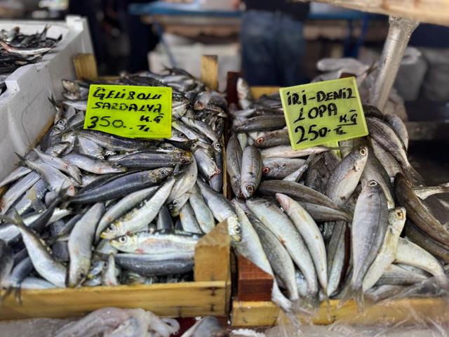 Fethiye Balık Hali’nde Kış Balıkları Tezgahları Doldurdu (2) (Copy)