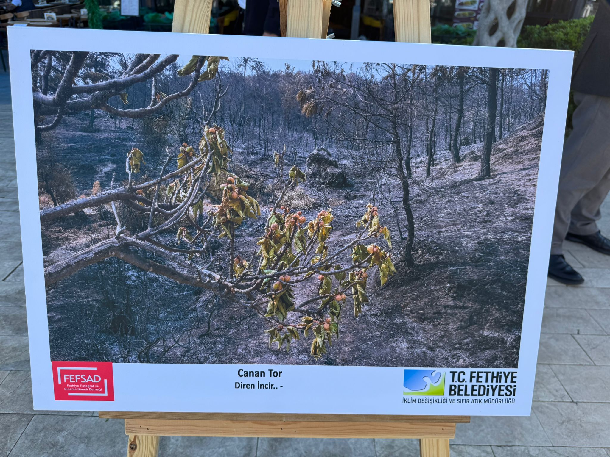 Fethiye’de İklim Değişikliği Haftası Etkinlikleri Başladı (2)