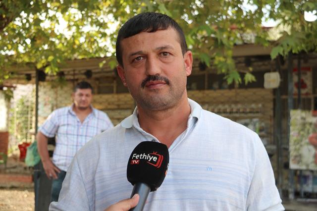 Fethiye’de Zeytin Hasadı Başladı (6) (Copy)