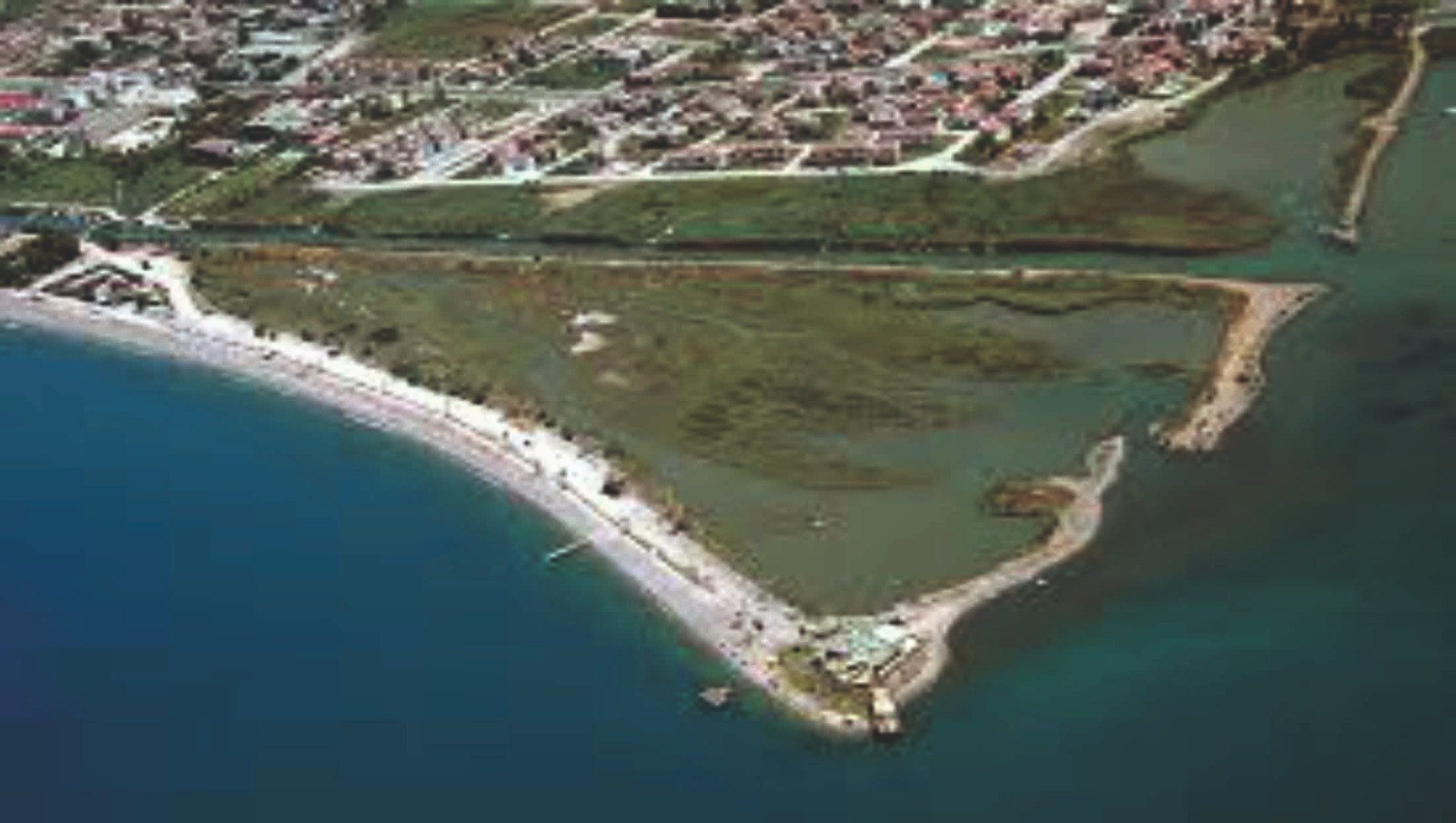 Muğla’da İlk Kez Fethiye’de Görüldü (1)