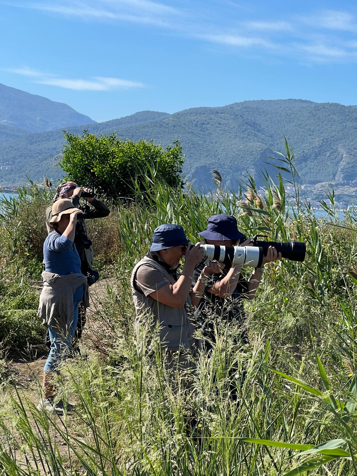 Muğla’da İlk Kez Fethiye’de Görüldü (2)