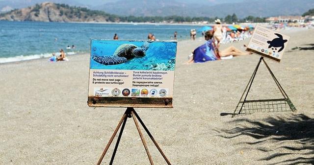 Ömrünü Caretta Caretta Ve Kuşlara Adadı (11) (Copy)