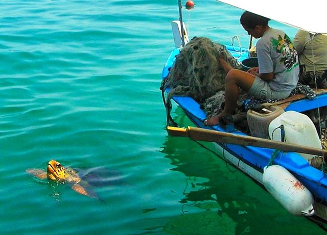 Ömrünü Caretta Caretta Ve Kuşlara Adadı (6) (Copy)
