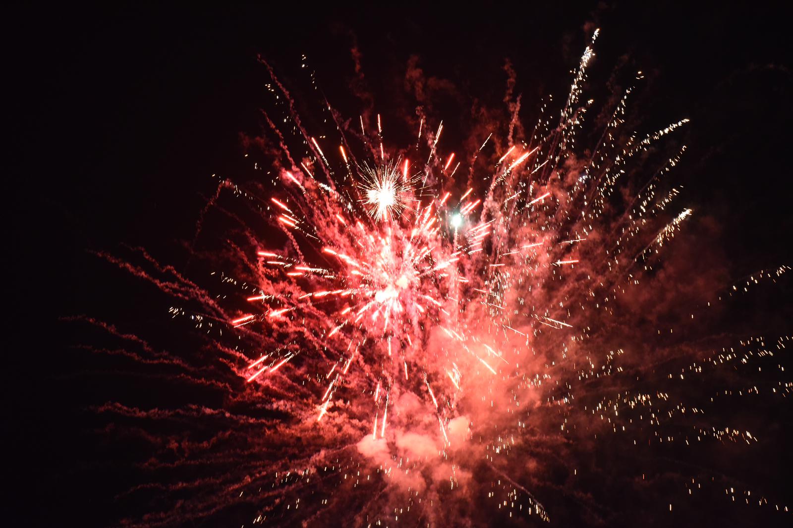 Pinhani Konseri (14)