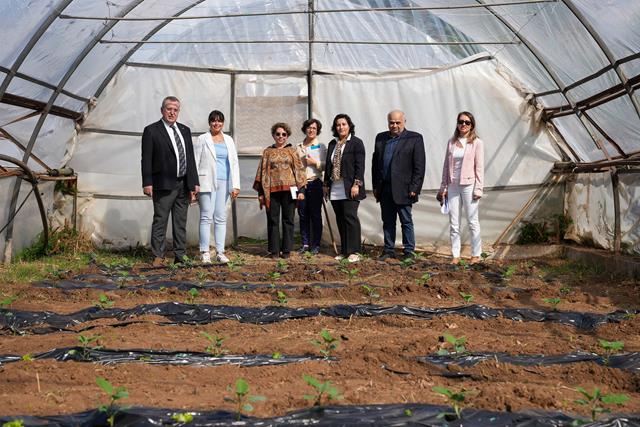 Üniversite (1) (Copy)