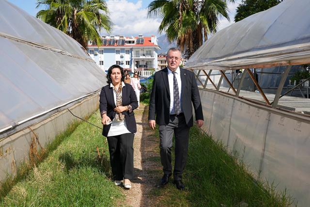 Üniversite (7) (Copy)