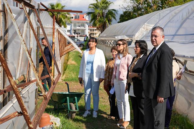 Üniversite (8) (Copy)