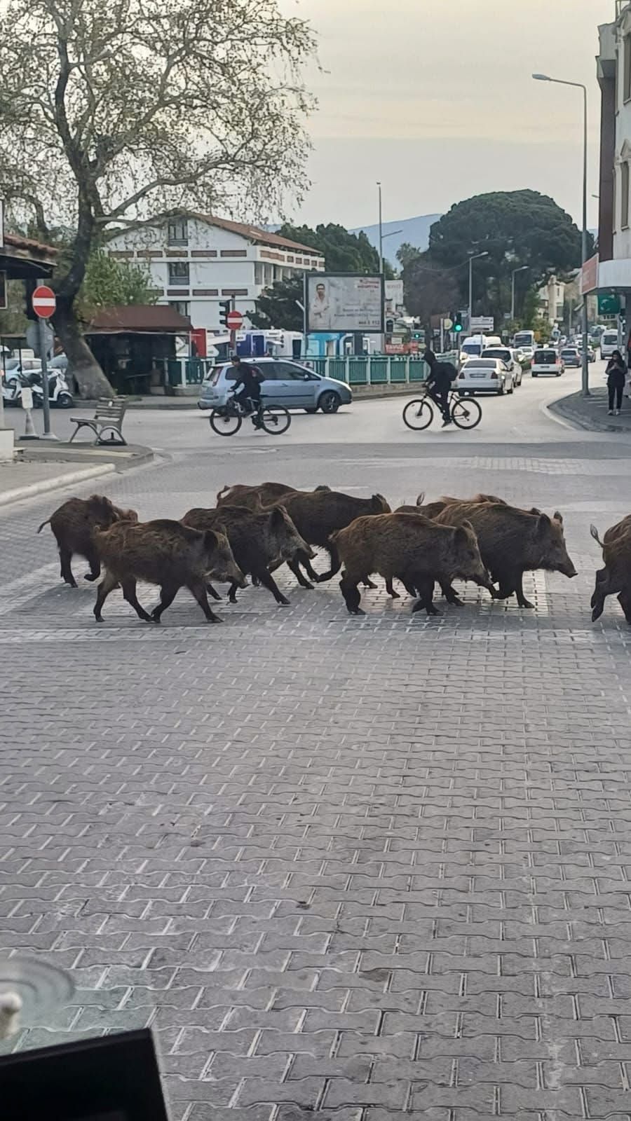 Whatsapp Image 2025 10 08 At 11.33.11 (1)