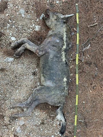 Whatsapp Image 2025 10 11 At 10.47.39 (Copy)