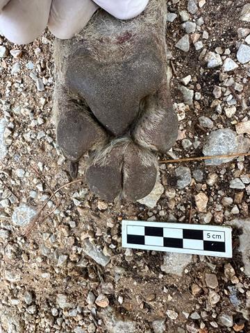 Whatsapp Image 2025 10 11 At 10.47.40 (1) (Copy)