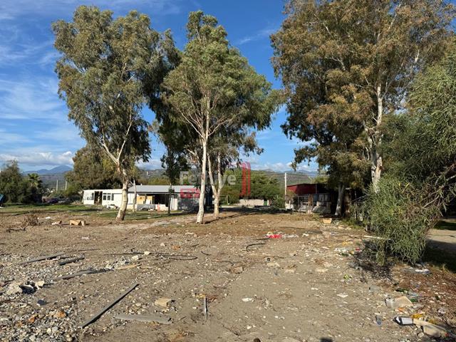 Fethiye Koca Çalış’ta Kıyı İşletmeleri Yıkımı Devam Ediyor (9) (Copy)