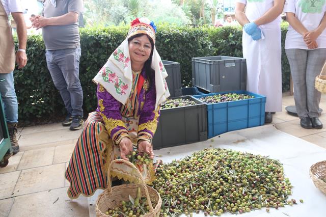 Whatsapp Image 2025 11 11 At 17.34.59 (2) (Copy)