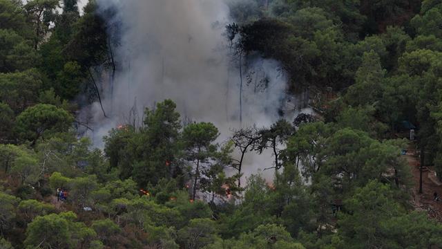 Dji 20251203215319 0958 D (Copy)