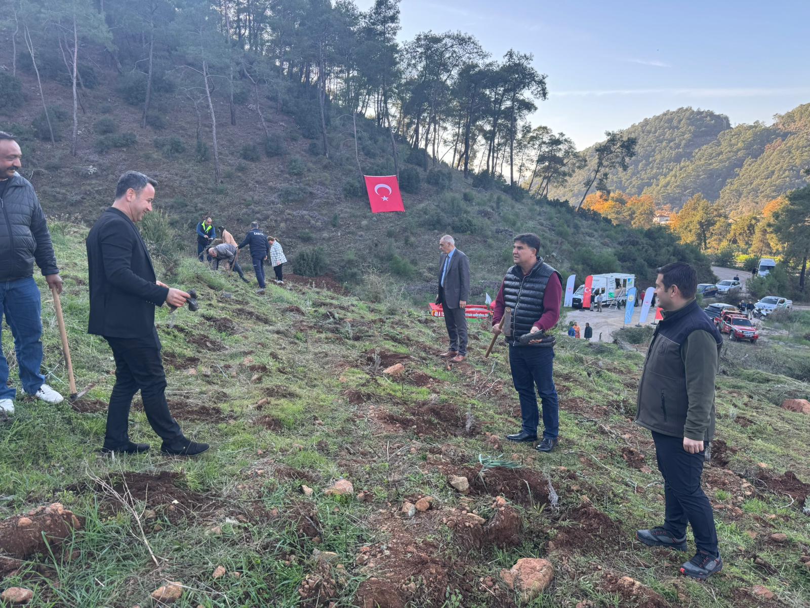 İnlice’de Hortumdan Zarar Gören Alan Ağaçlandırıldı (1)