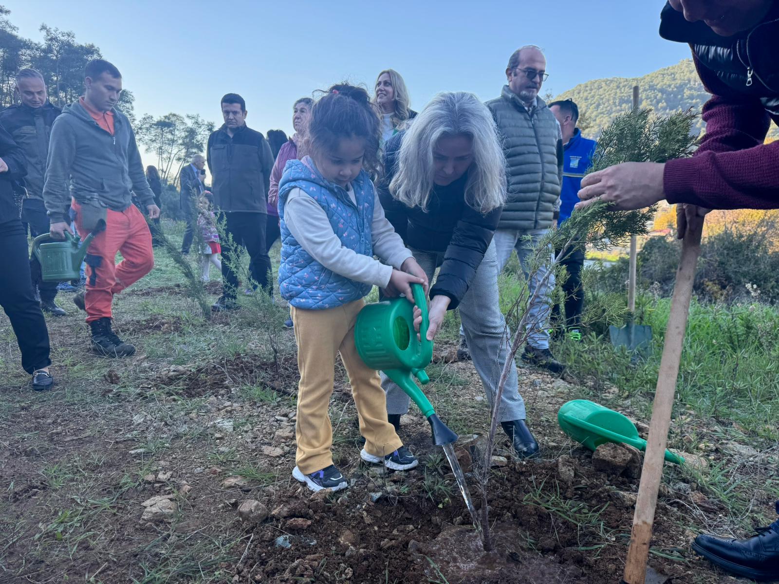 İnlice’de Hortumdan Zarar Gören Alan Ağaçlandırıldı (5)