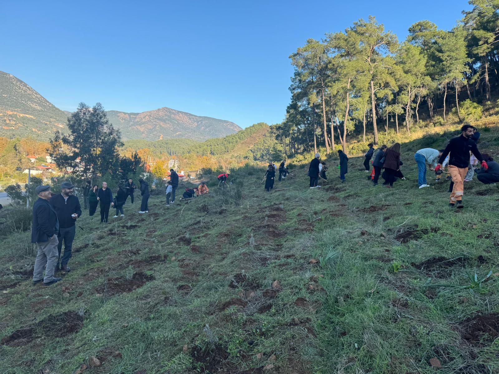 İnlice’de Hortumdan Zarar Gören Alan Ağaçlandırıldı (7)
