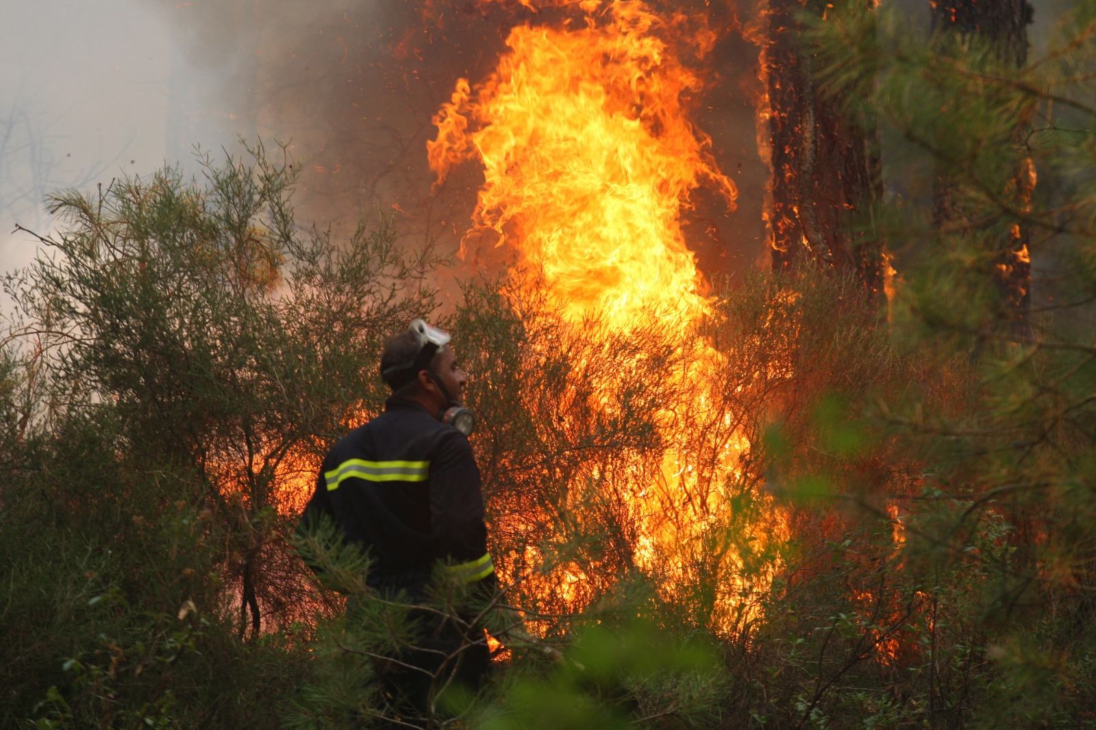 3 Yılda Yaklaşık 6 Bin Hektar Alan Kül Oldu (1)