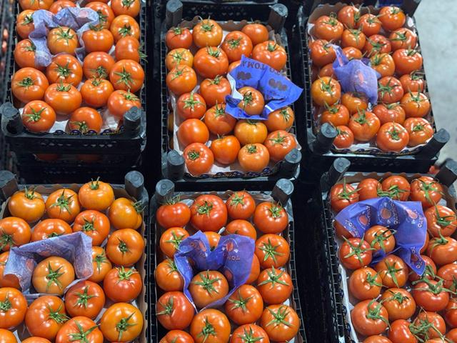 Whatsapp Image 2026 01 06 At 16.02.31 (1) (Copy)