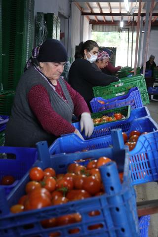 Whatsapp Image 2026 01 06 At 16.02.45 (1) (Copy)