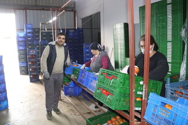 Whatsapp Image 2026 01 06 At 16.02.45 (Copy)