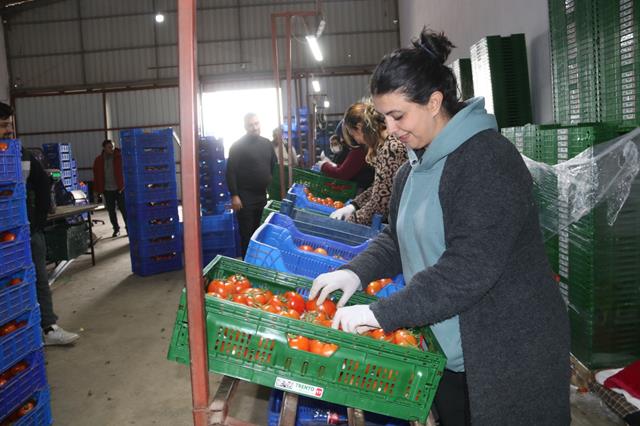 Whatsapp Image 2026 01 06 At 16.02.46 (2) (Copy)