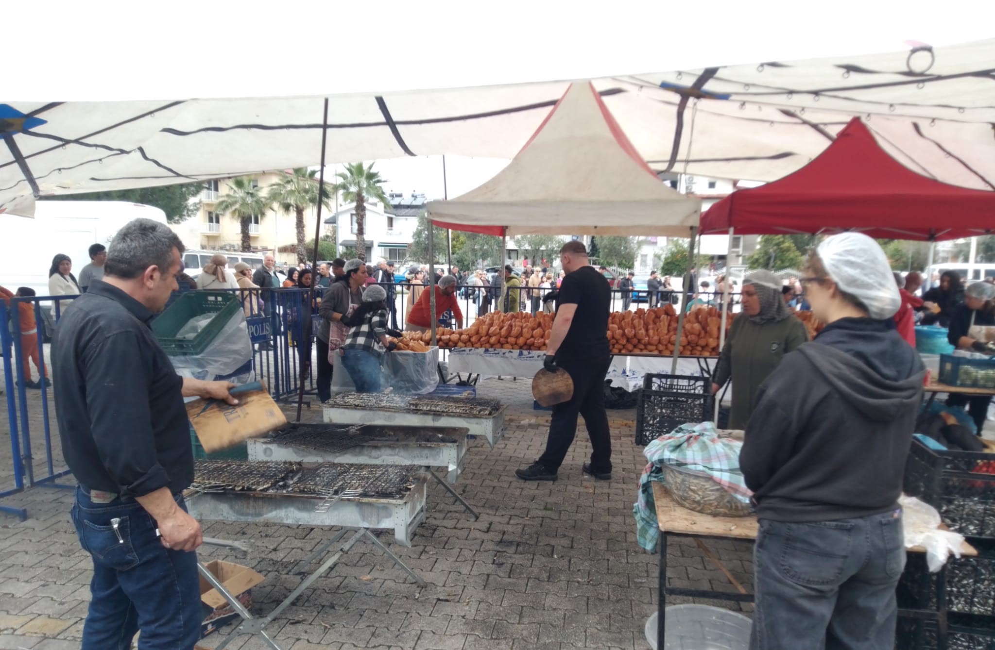 Hamsi̇ Festi̇vali̇nde 5 Ton Hamsi̇ Ücretsi̇z İkram Edi̇ldi̇ (15)