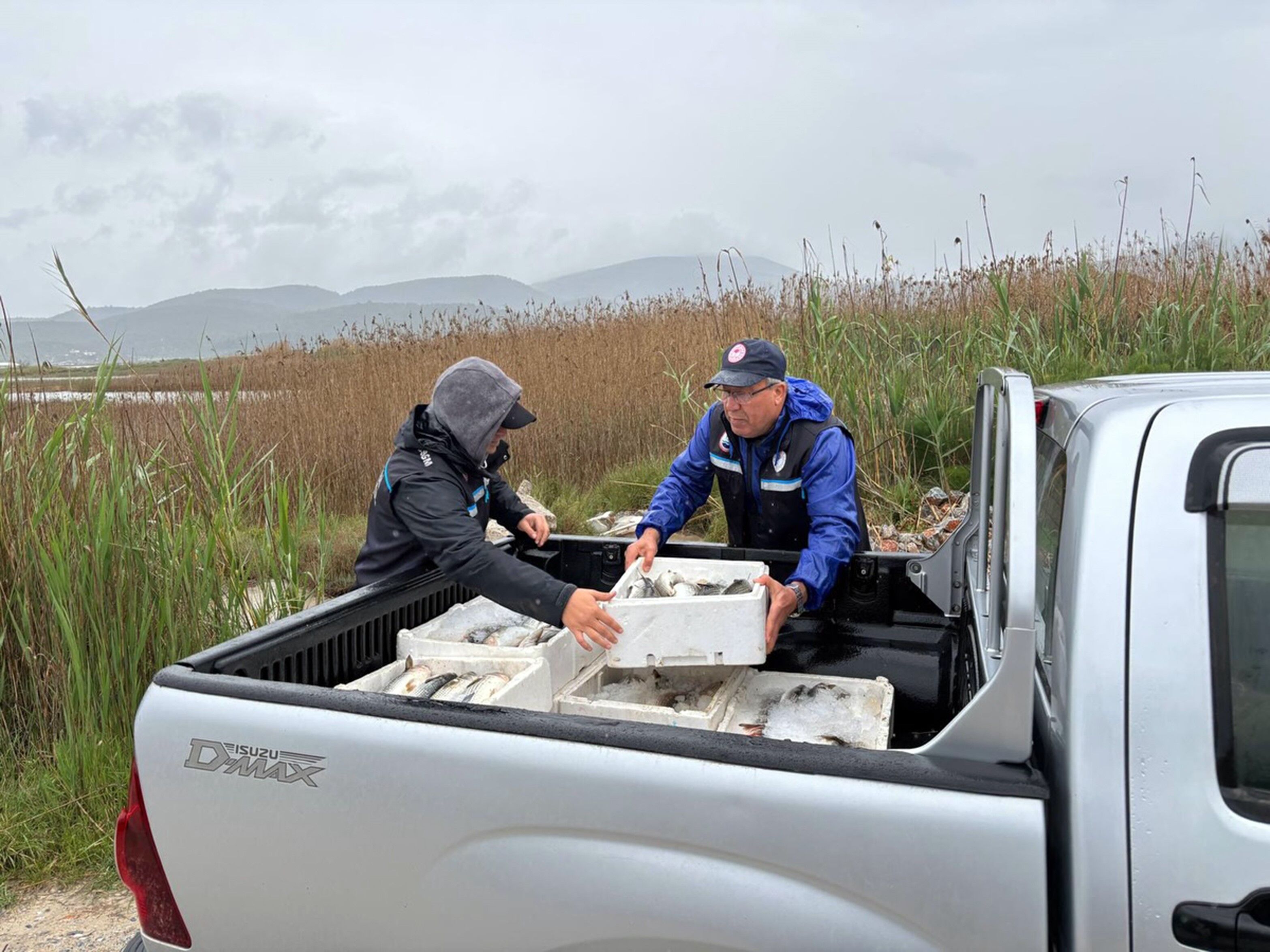 Kaçak Avcılığa Geçit Yok 80 Kilo Kefal Balığına El Konuldu (1)