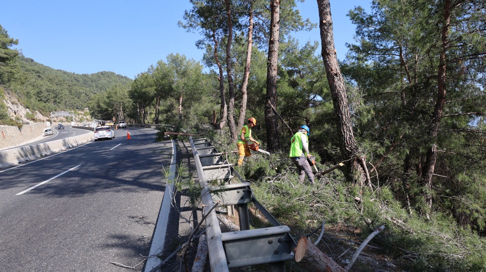 Sakar Geçidinde Orman Yangınlarına Karşı Yol Kenarı Temizliği (4)