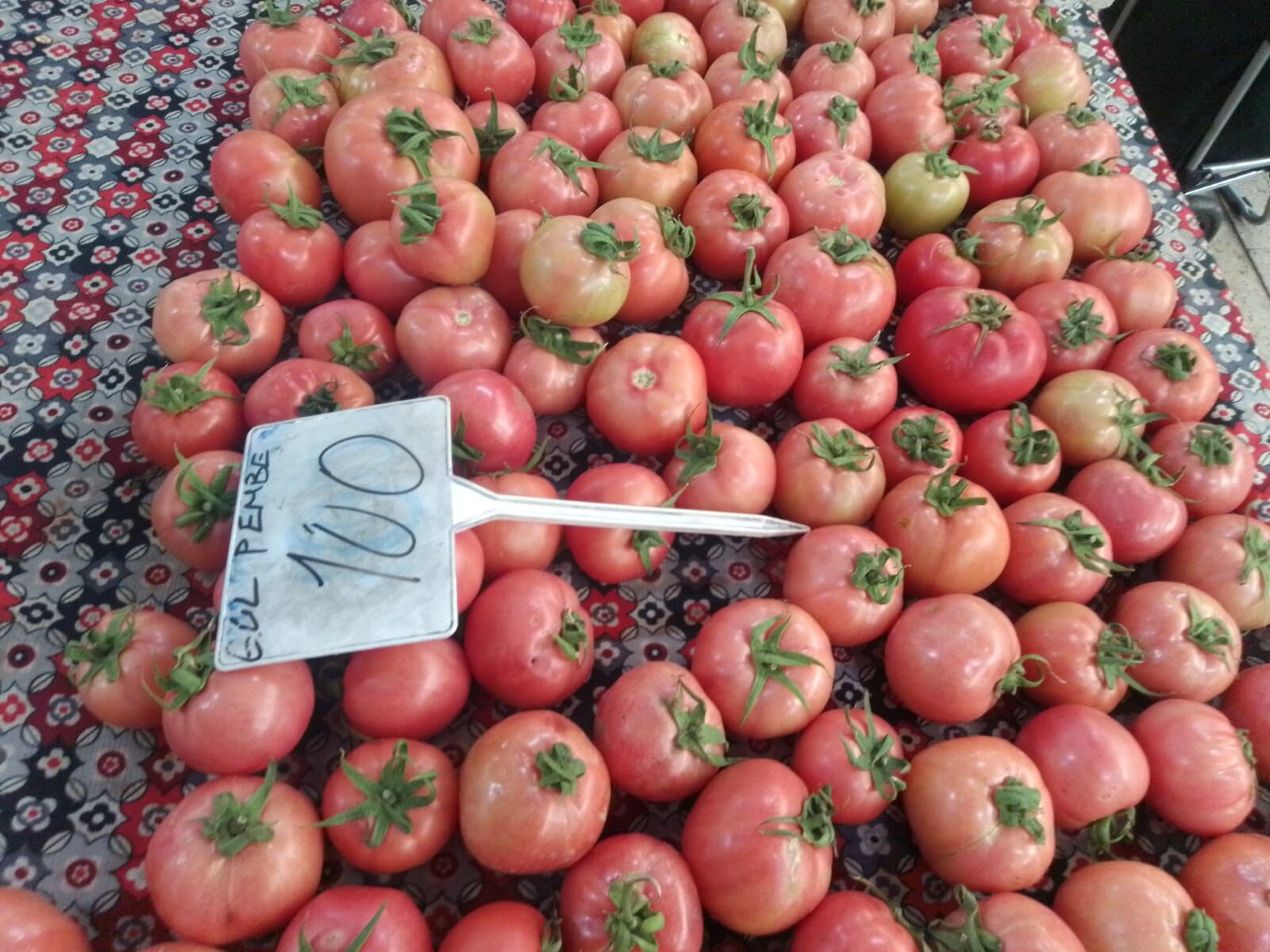 Sebze Meyve Fiyatlarında Büyük Yükseliş (22)