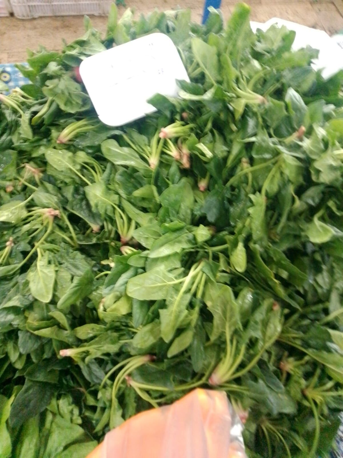 Sebze Meyve Fiyatlarında Büyük Yükseliş (6)