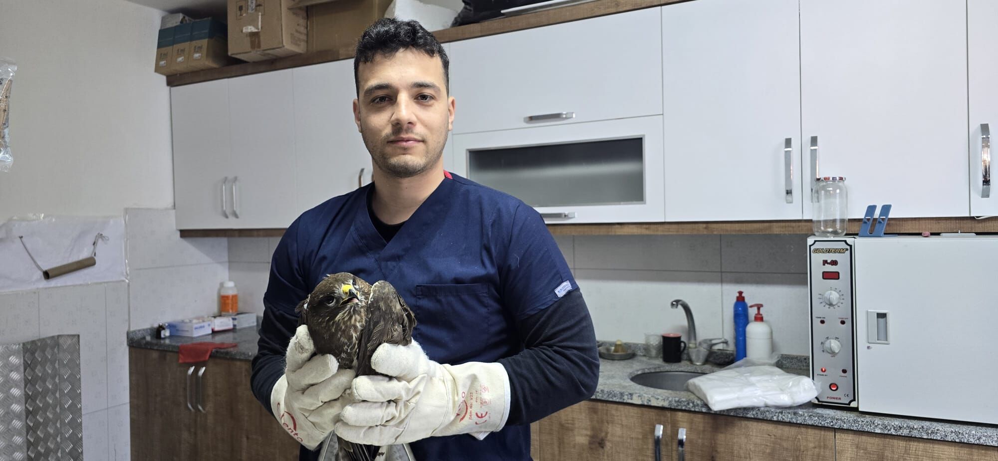 Seydi̇kemer’de Yarali Şahi̇n Tedavi̇ Altina Alindi (2)