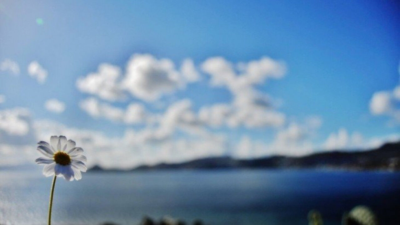 Son Cemre Toprağa Düştü