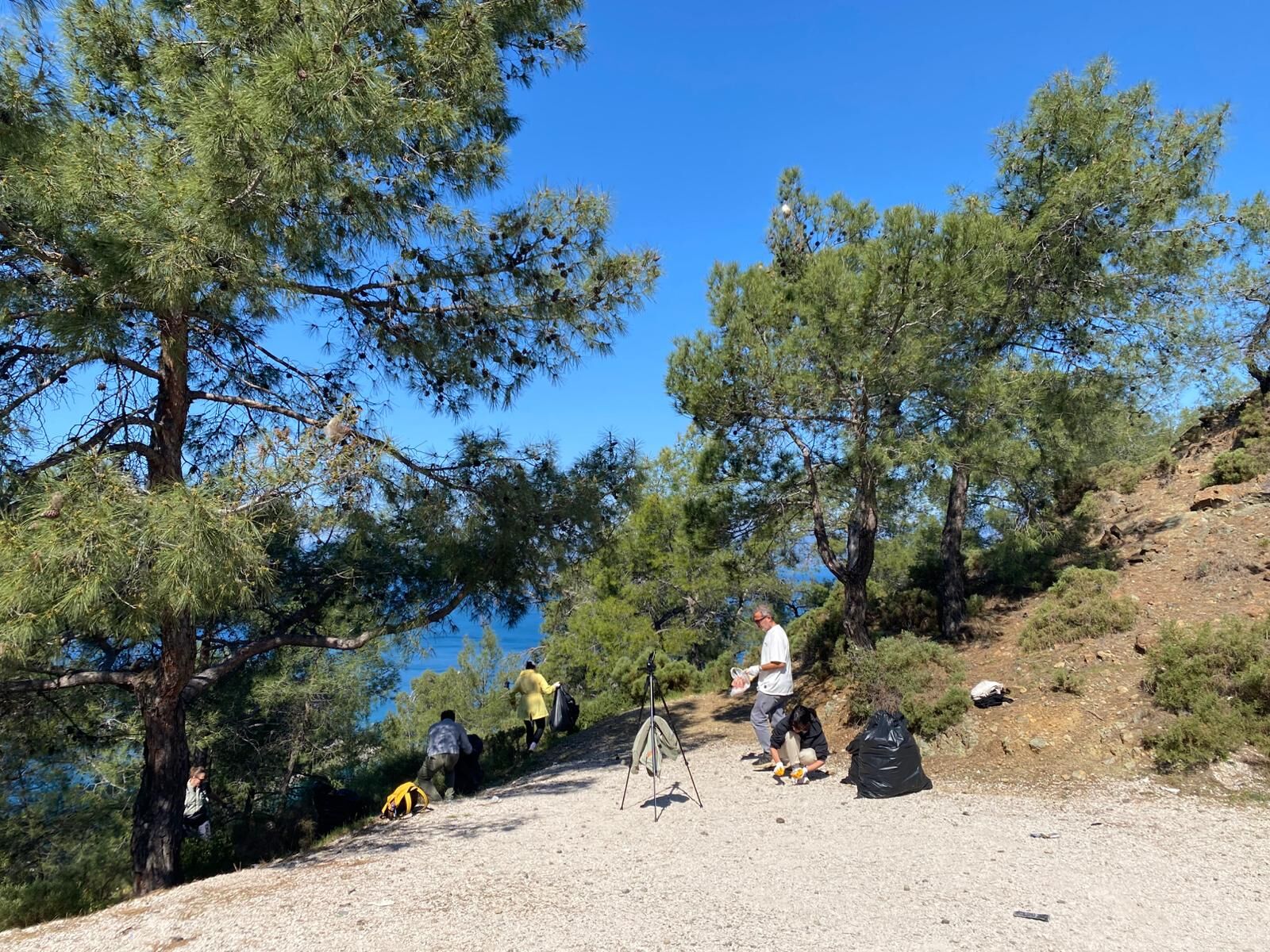 Whatsapp Image 2026 03 07 At 15.34.53 (1)