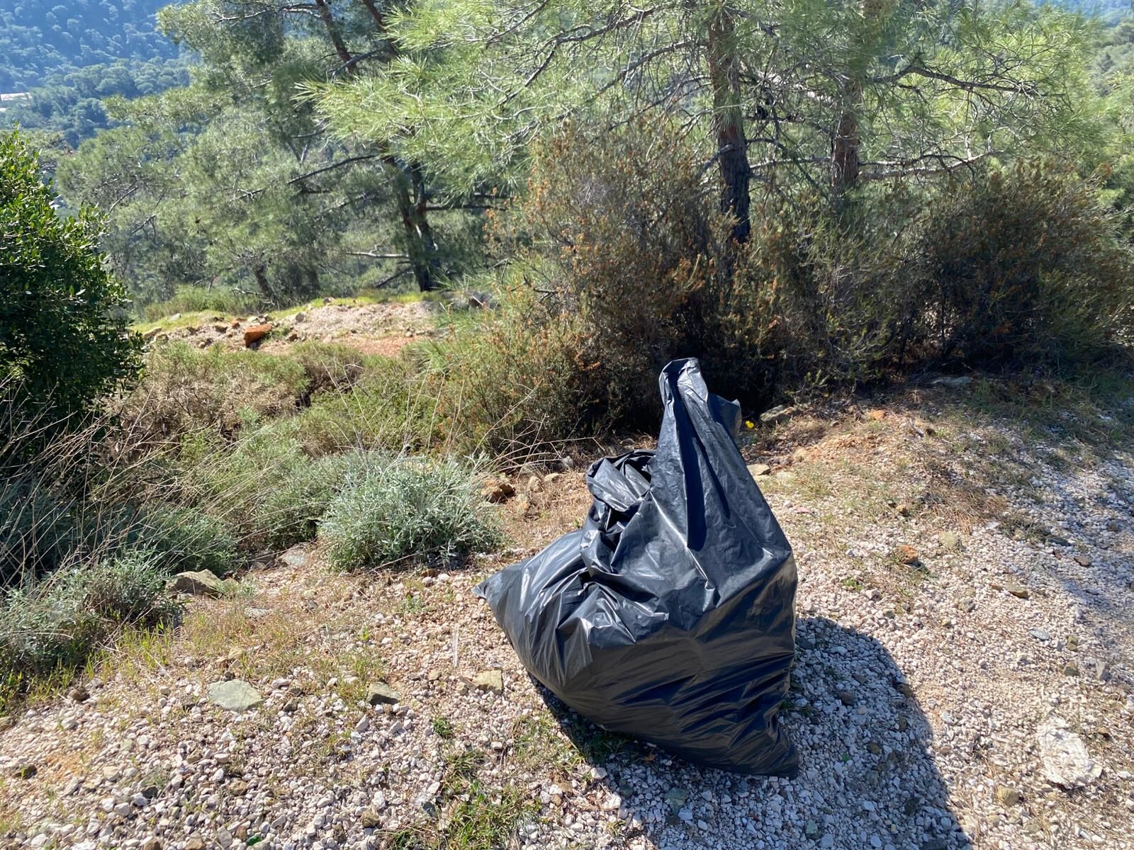 Whatsapp Image 2026 03 07 At 15.34.54 (1)