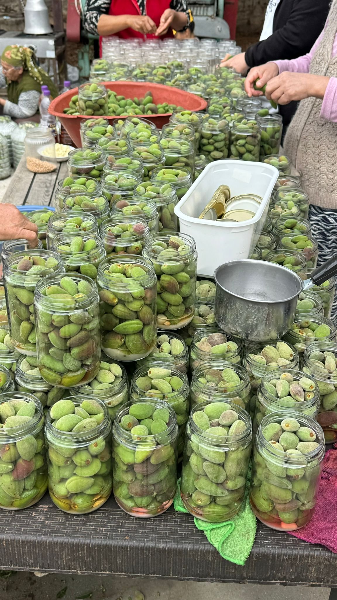 Çağla Turşusu Bereketi Kadın Üreticilerden Ekonomiye Katkı (1)