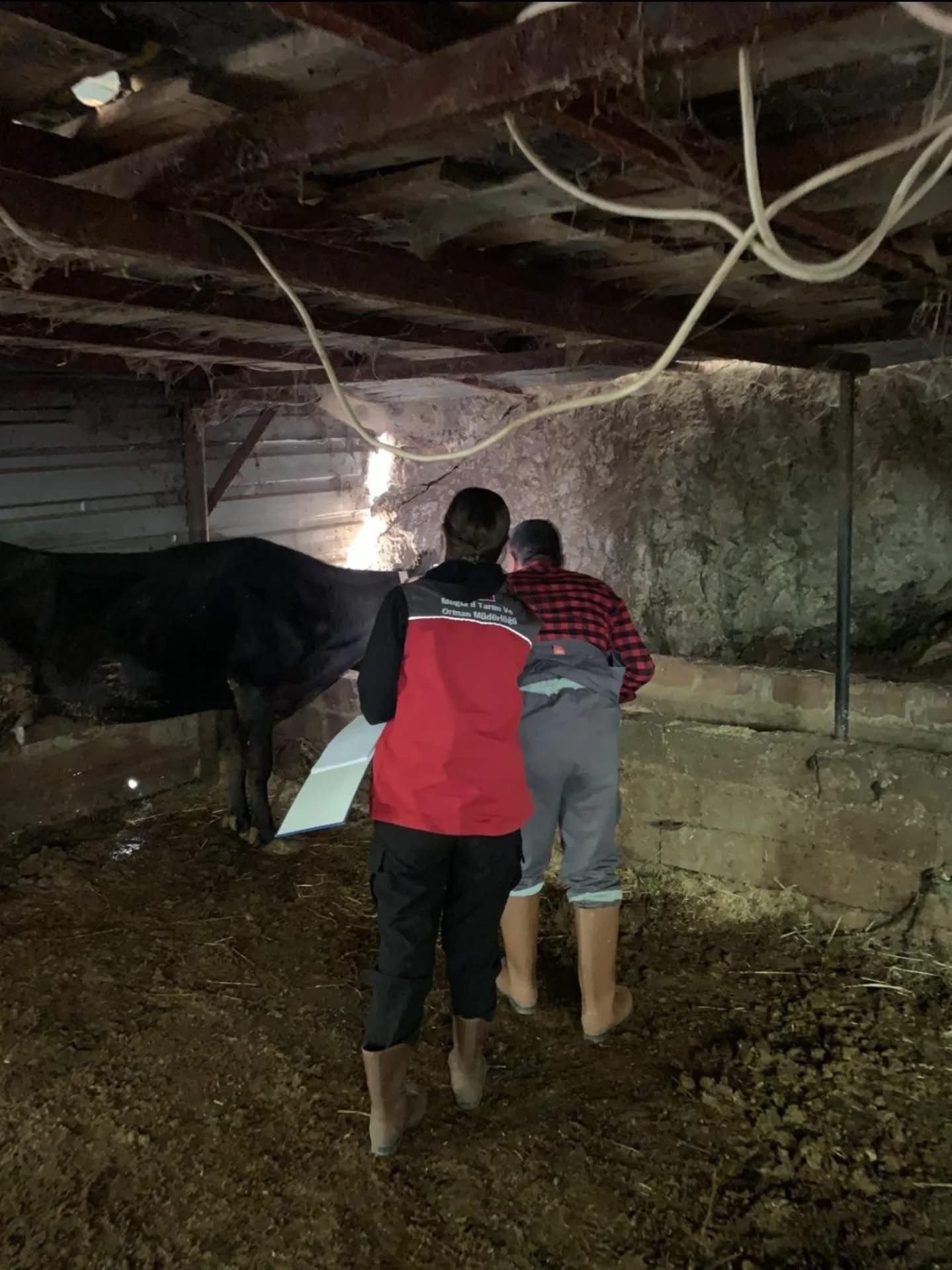 Fethiye’de Hayvan Sağlığı İçin Seferberlik (5)