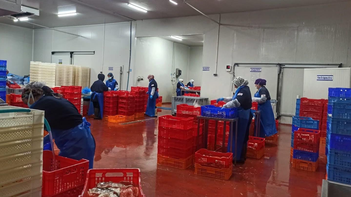 Fethiye’den Hollanda’ya Gönderilecek Alabalıklar Denetlendi (7)