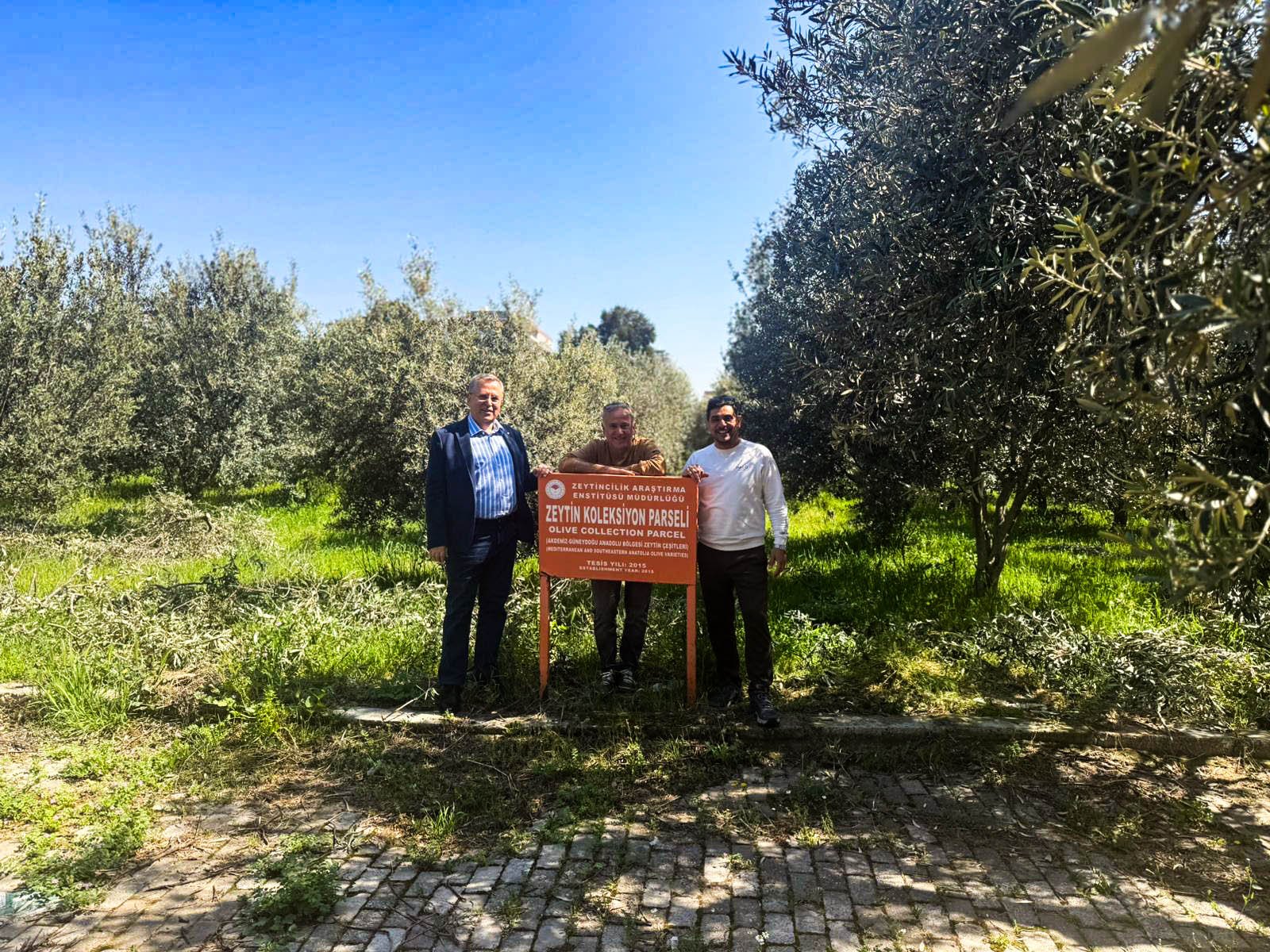 Ftso’dan ‘Fethi̇ye Zeyti̇nyaği’ İçi̇n Coğrafi̇ İşaret Adimi (5)